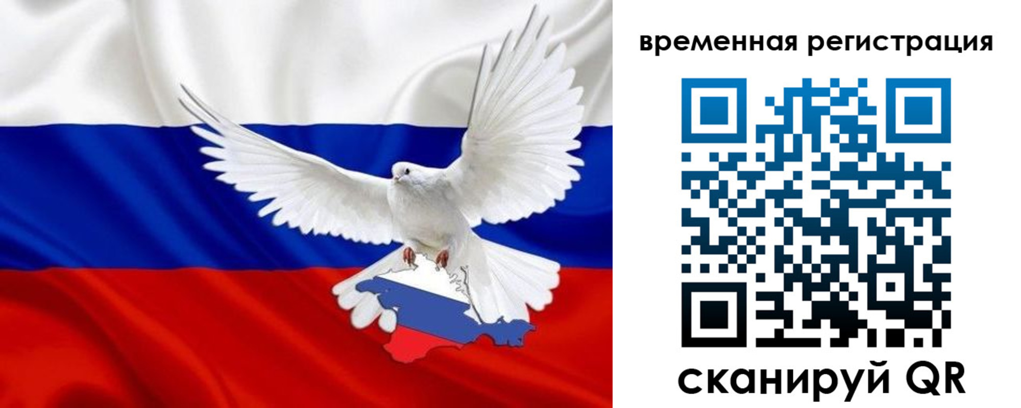 прописка законно в Алейске